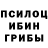 Галлюциногенные грибы прущие грибы Ludmila Umerova
