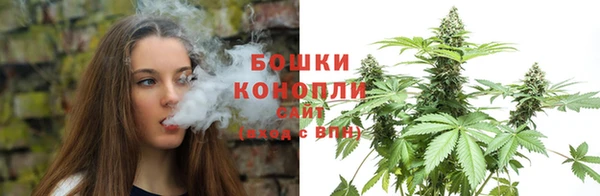 дживик Зеленодольск