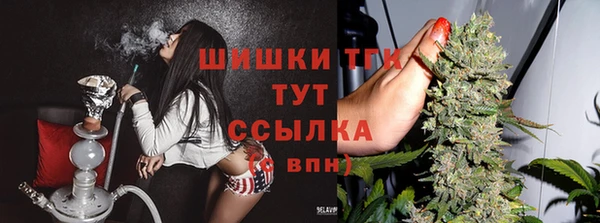дживик Зеленодольск